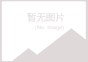 含山县如柏因特网有限公司